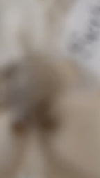 Personalized Candle Gift Box with Ribbon | Bow-Tie Candle | Wedding, Baby Shower, PartyFavor